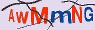 Code captcha
