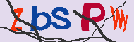 Code captcha