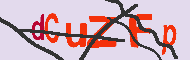 Code captcha