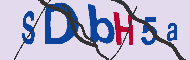 Code captcha