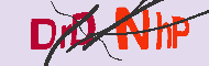Code captcha