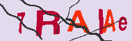 Code captcha