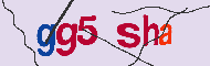 Code captcha