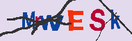 Code captcha